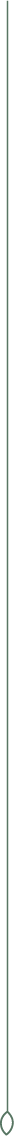 Agrileg
